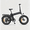 Schwarz-ENGWE EP-2 3.0 Boost E-Bike
