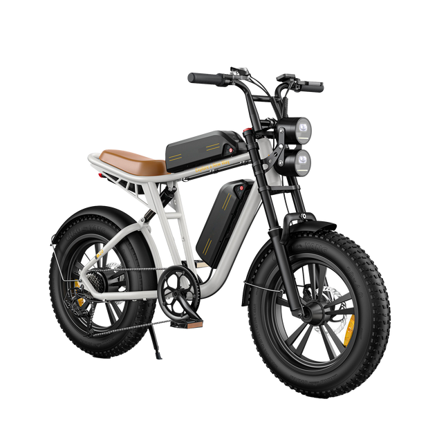 ENGWE M20 E-Bike im Motorrad-Stil