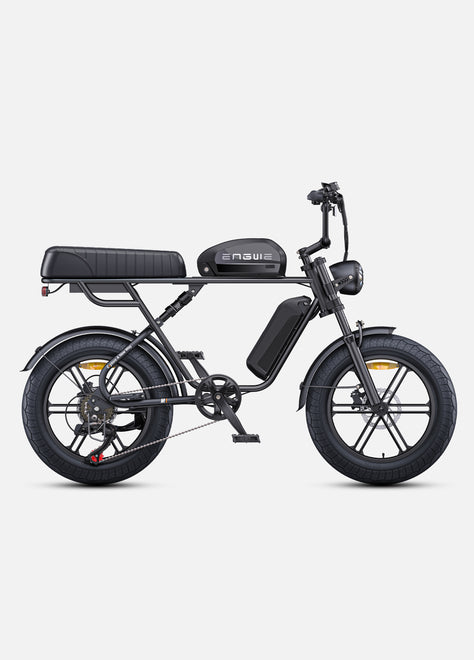 M1 Motorcycle-styled Electric Bike