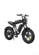 M20 Motorcycle-styled Electric Bike