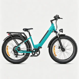 E26 Electric Electric Bike
