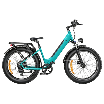 Bici elettrica elettrica E26
