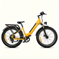 Bumblebee Yellow-Vélo électrique électrique E26
